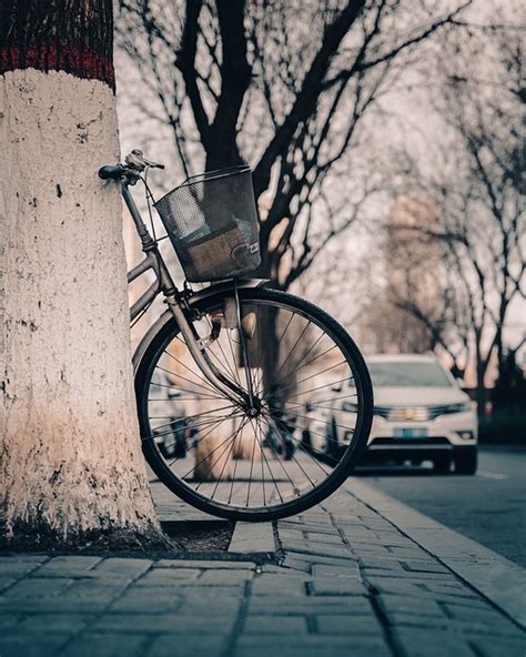 자전거 도시 도로 Pixabay의 무료 사진 Pixabay