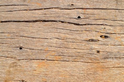 Wood Textures Free Photo Download Freeimages