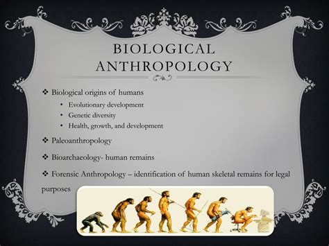Ppt Four Fields Of Anthropology Powerpoint Presentation Free Download Id 2863639