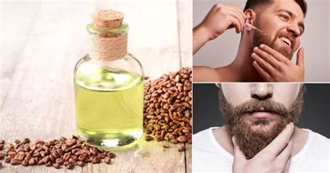 Castor Oil For Beard Benefits And Usage Castor Oil Guide
