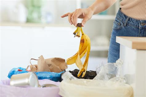 Houseplant Hack Heres Why You Shouldnt Throw Banana Peels Away