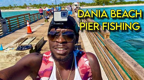 Dania Beach Pier Fishing Youtube