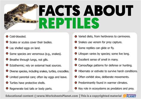 Facts About Reptiles