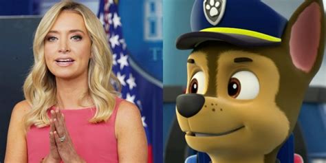 Paw Patrol Hasnt Been Cancelled Kayleigh Mcenany Claims Denied