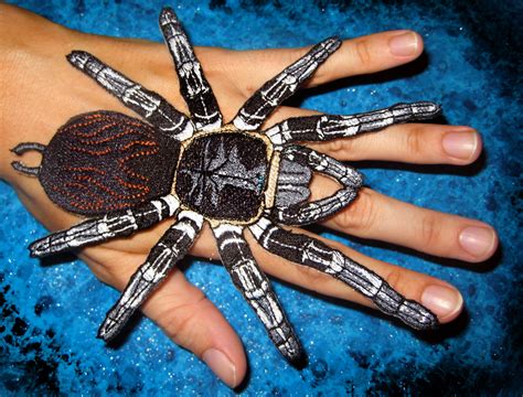These tarantulas live in a tropical, wet climate, characterized by abundant rainfall with little to no dry season. Brazilian White Knee Tarantula Spider Steam Punk Iron on