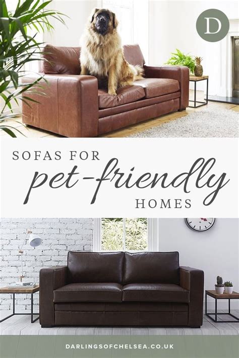 Check Out Our Guide To The Best Pet Friendly Sofas For Your Home Find