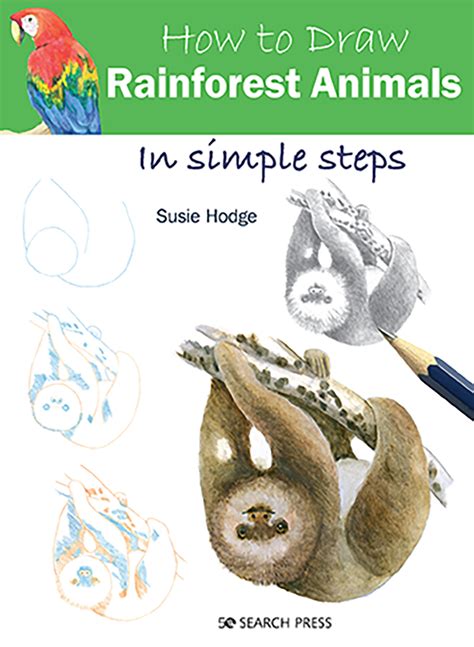 Rainforest Animals Drawing