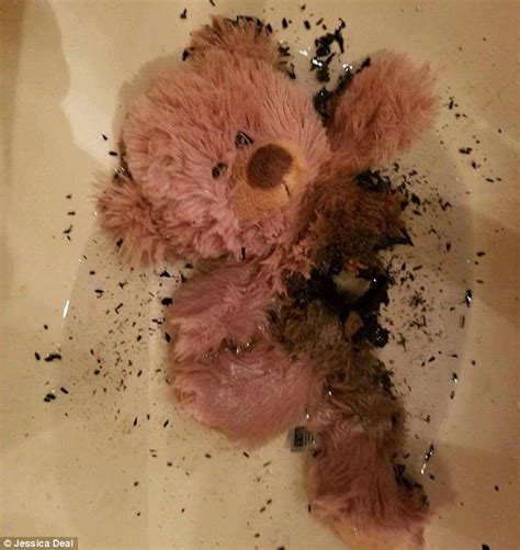 Teddy Bear With Microwaveable Warming Heart Catches Fire Daily Mail