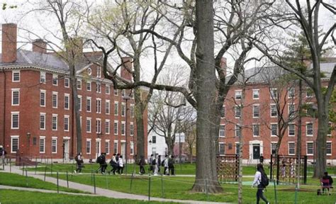 Universidad De Harvard 🏛️ Carreras Costos Becas