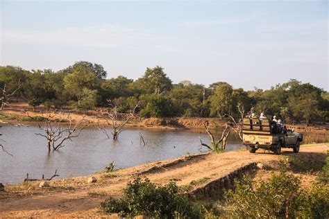 Exploring Limpopos Kapama Game Reserve In The Marula Season