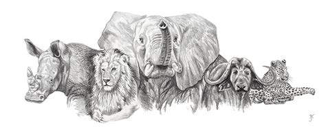 The Big Five Drawing By E J Klepinger