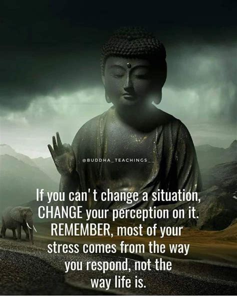 If You Cant Change A Situation Change Your Perception On It Pictures