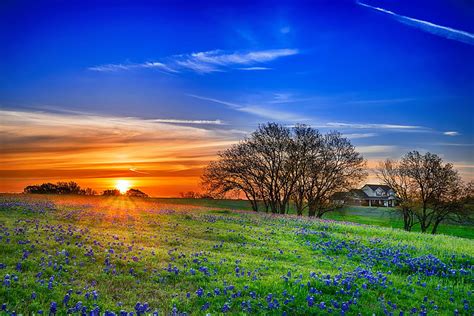 Texas Hill Country Texas Grass Bonito Sunset Country Sky