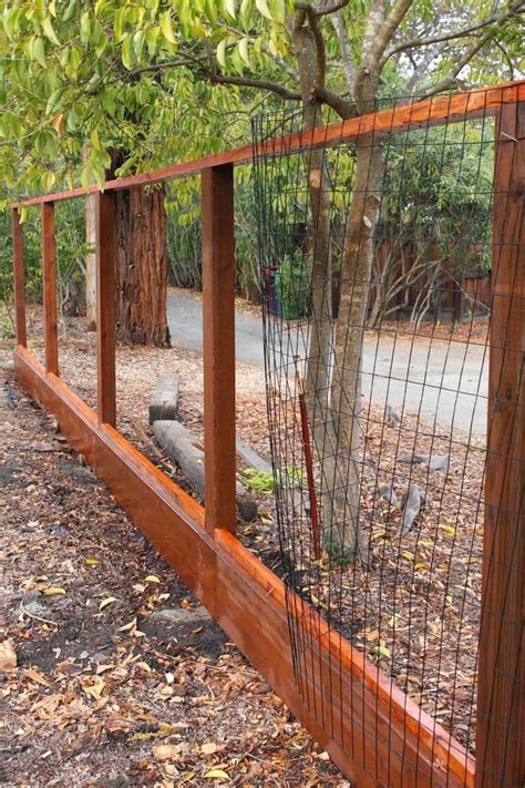 It is the northern most transition point. 24 Unique Do it Yourself Fences That Will Define Your Yard | Backyard fences, Deer fence, Fence ...
