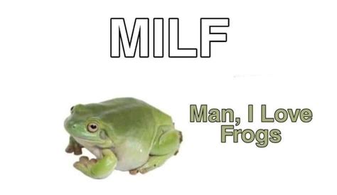 30 Hoppity Wholesome Frog Memes To Lighten The Mood Funny Frogs