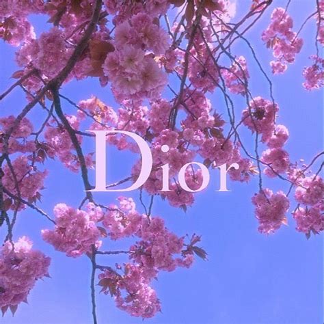 Cherry Blossom Dior Aesthetic Iphone Achtergrond Paarse Achtergronden Wallpaper Achtergronden