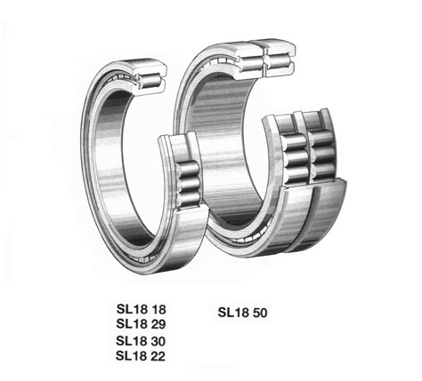 Sl04 5040 Pp 2nr Sl04 5040 Pp Double Row Full Complement Roller Bearing