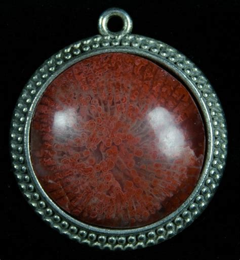 Fossil Red Horn Coral Pendant Utah For Sale 7113