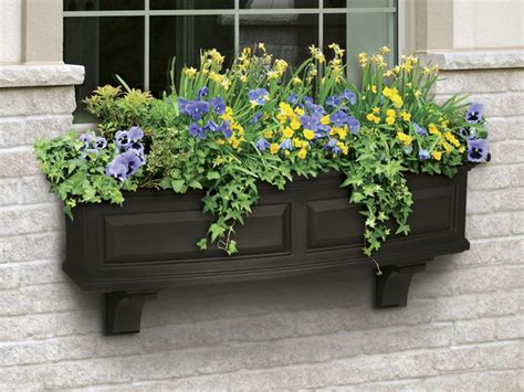 On monday i shared the window box brad and i recently built to add curb appeal to our house. How Many Plants Should I Put In A Window Box?