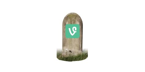 Heres What The Vine Influencers Think About The Apps Sudden Closure