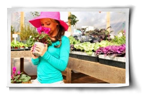 Vegan Organic Fertilizers: An Easy Guide | Organic fertilizer, Organic gardening soil, Organic ...