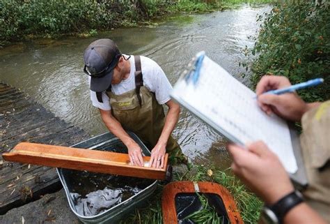 Surveying Fish In South Middleton Township Video