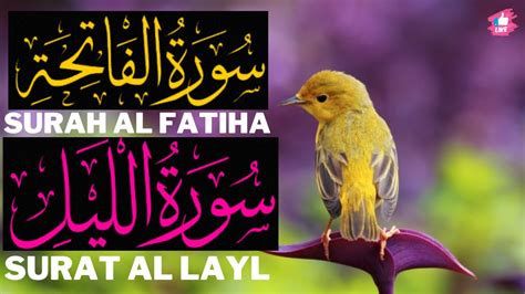 Surat Al Layl سورة الليل Surah Al Fatiha Beautiful Quran