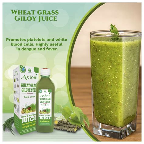 Wheatgrass Buy Wheatgrass Juice Online