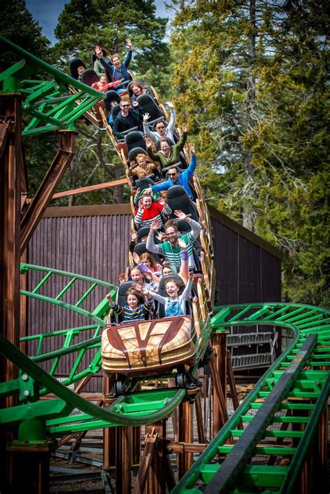 Landmark Forest Adventure Park in the Highlands to open two popular rides