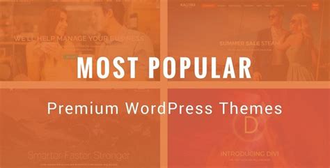 Looking For The Best Premium Wordpress Theme For Your Website Check