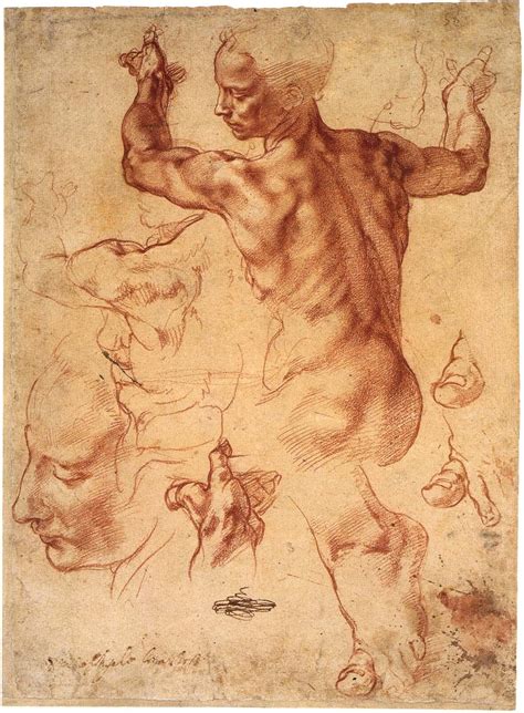 Michelangelo Drawings Study For The Libyan Sybil Fine Art Print Ebay