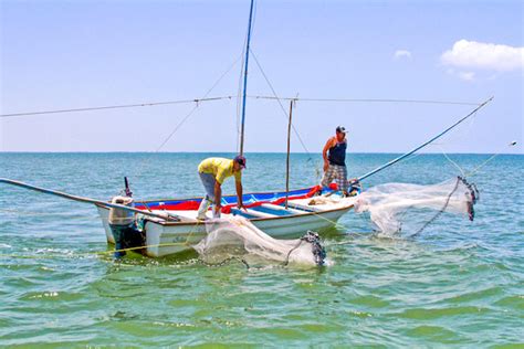 Crecimiento De La Pesca En México Se Basa En