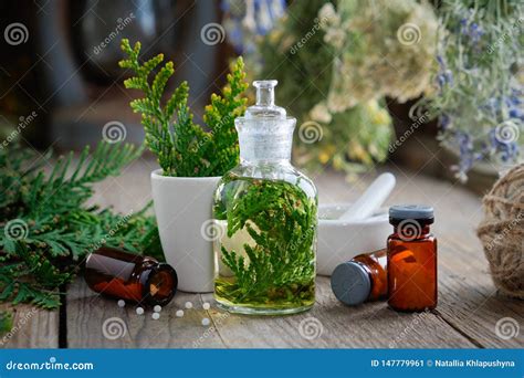 Bottles Of Homeopathic Globules Thuja Infusion Thuja Occidentalis