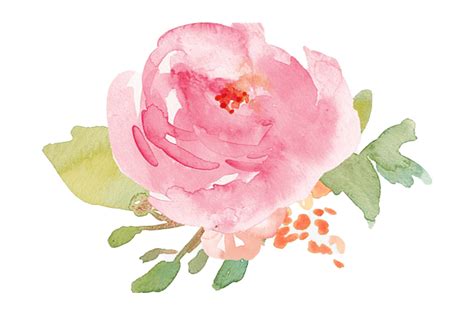 Watercolor Flower PNG Pic PNG All