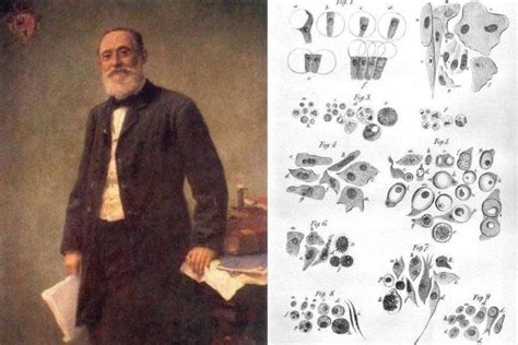 Rudolf Virchow The Pope Of Medicine Who Discovered Leukemia