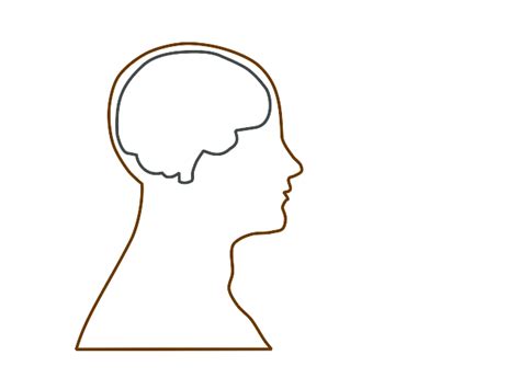 Blank Human Head Outline Free Download Printable Templates Lab