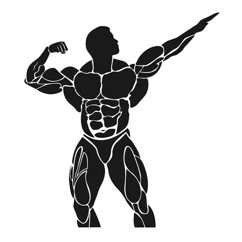 Bodybuilding Concept Muscles Healthcare Illustrations Creative Market