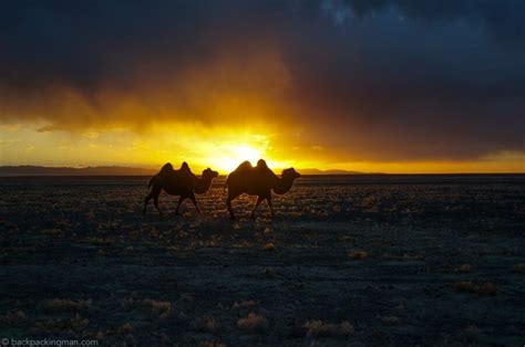 Gobi Desert Sunset Mongolia Backpackingman