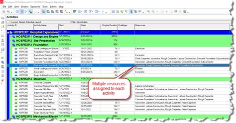 primavera p6 resource report onepager