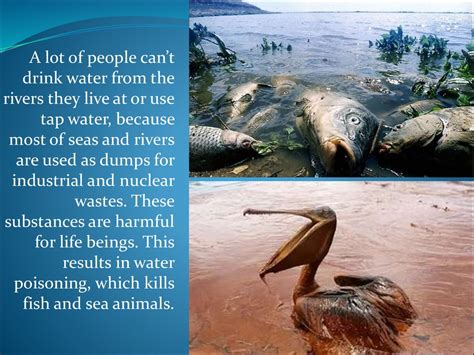 Water Pollution Affecting Humans