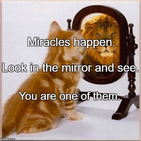 Cat Mirror Lion Imgflip