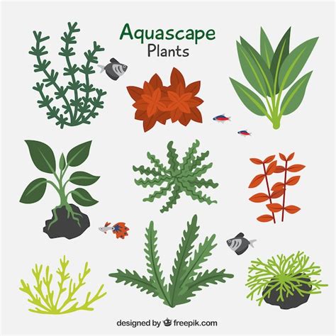 Pack Of Aquatic Plants Vector Free Download