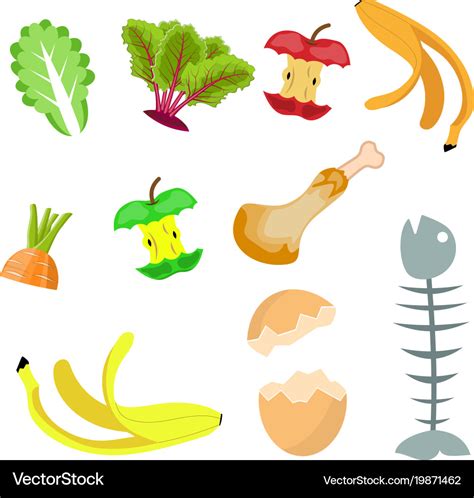 Organic Waste Food Compost Collection Royalty Free Vector