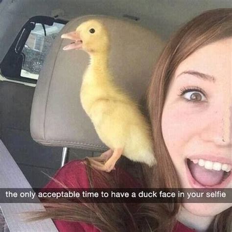 Best Duck Face Funny Duck Duck Face Funny Photos