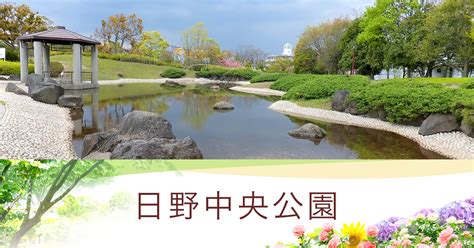 Google has many special features to help you find exactly what you're looking for. 日野中央公園