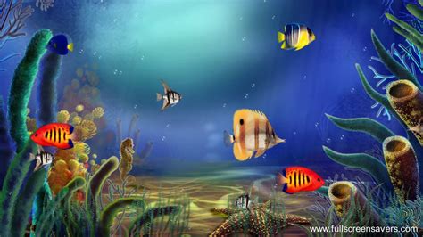 Animated Aquarium Screensaver Aquarium Screensaver Youtube