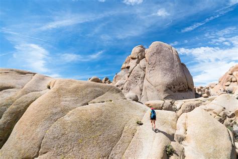 9 Best Hikes In Joshua Tree For All Levels Map And Tips