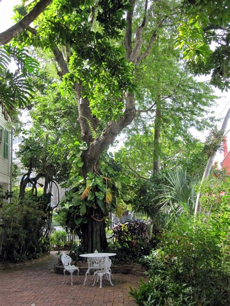 Audubon House And Tropical Gardens In Key West Fl Wanderwisdom