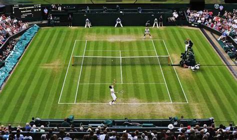The only slam contested on grass continues to honour many. Wimbledon Diary: Tim Henman's wine hoard and tie-break ...