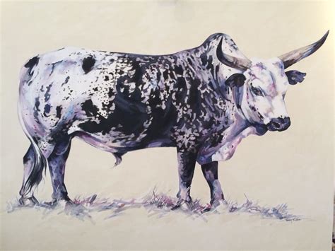 Stunning Nguni Bull Painting By Terry Kobus